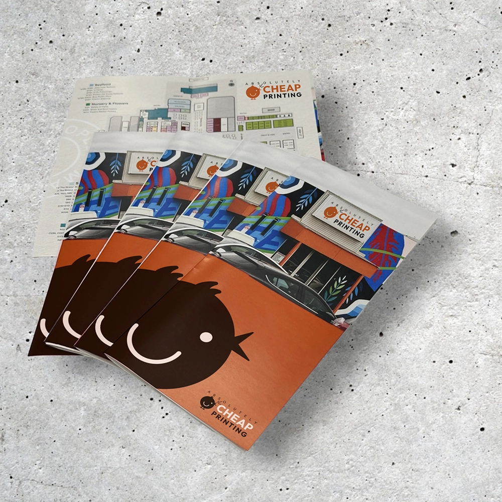 Show details for DL 6PP Brochures